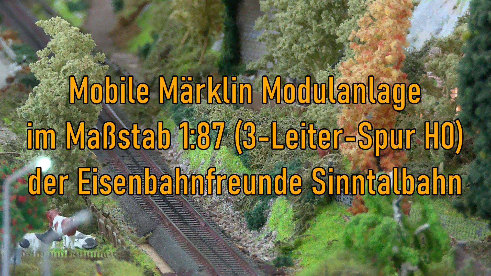 Märklin Modelleisenbahn der Eisenbahnfreunde Sinntalbahn - Eine 3-Leiter-Spur H0 Eisenbahnanlage